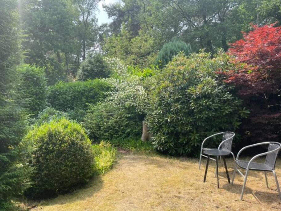 Ruime en comfortabele bungalow aan bosrand photo 3