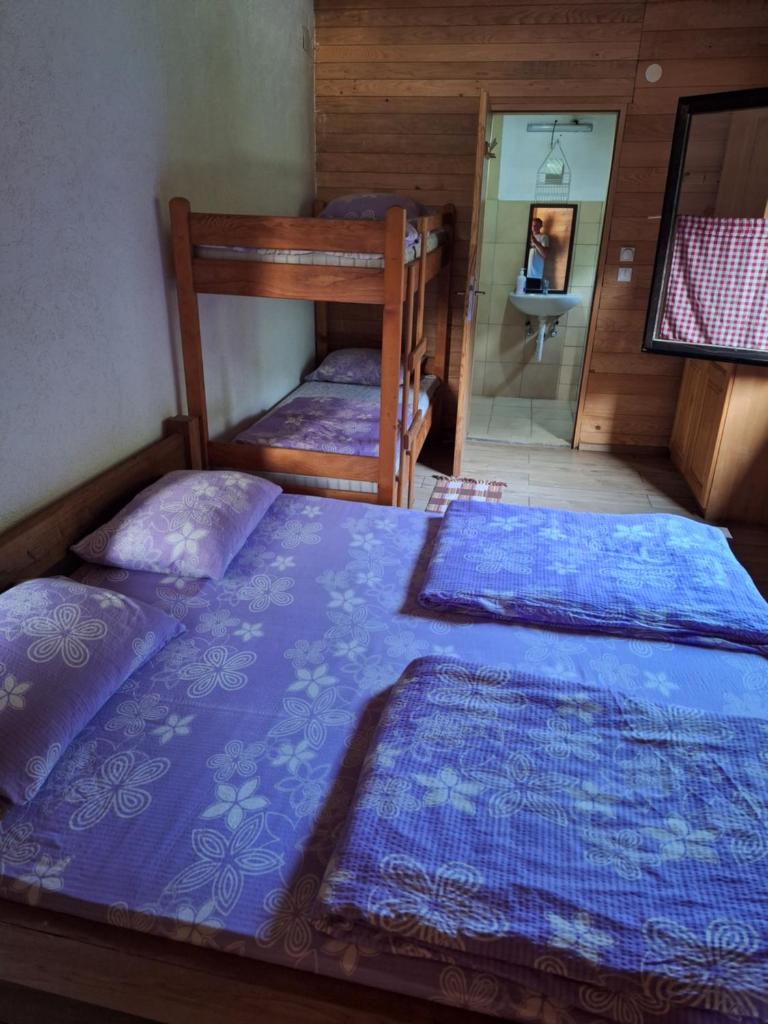 Grand Tara Rafting Resort photo 3