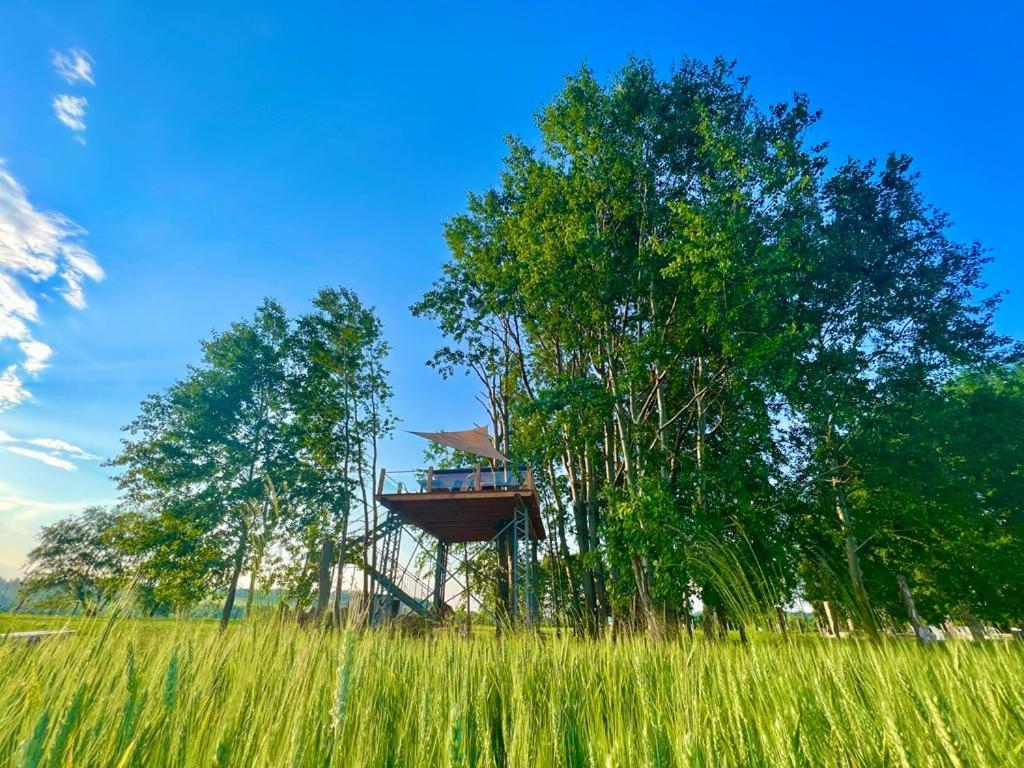 Zelený ostroff Treehouse photo 1