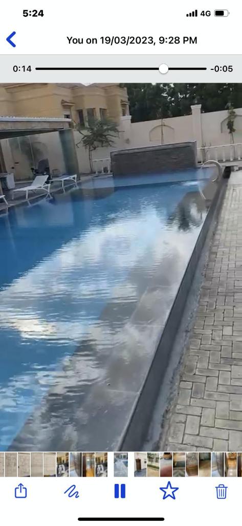 القصر photo 4