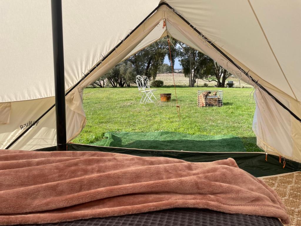 Cosy Glamping Tent 1 photo 1