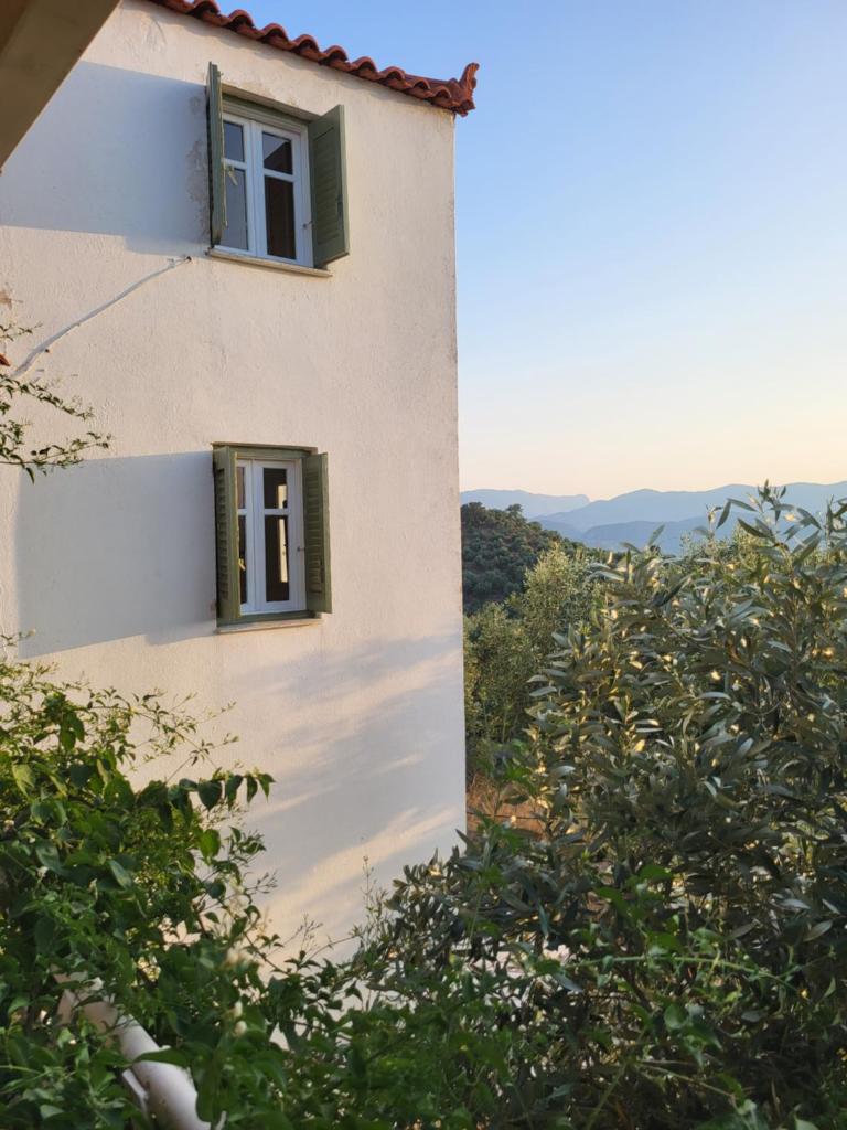 Mani Hill House photo 2