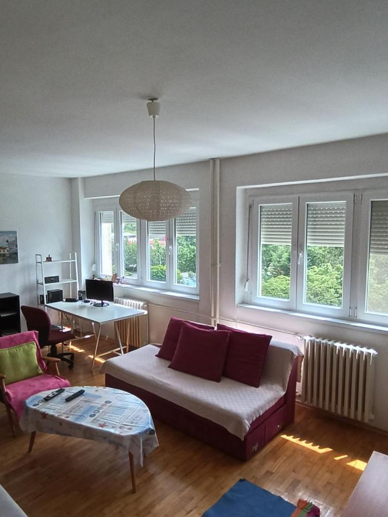 ViVa Apartment