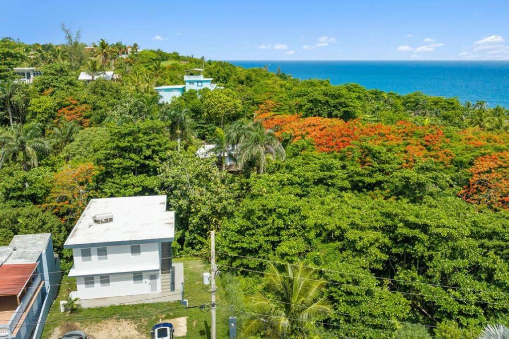 Casa al Mare #3- 1 bdr - 4 min walk to Sandy Beach photo 4