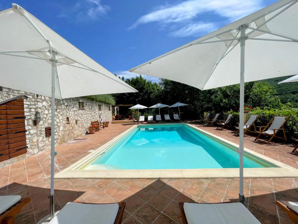 Spoleto Splashcasa Piscinaslps 4wifidishwasher photo 3