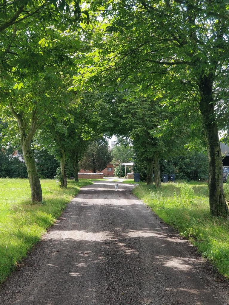 Kristinebjerg