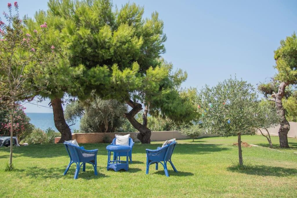 Seaside Sunset Villa with private garden 1 photo 3