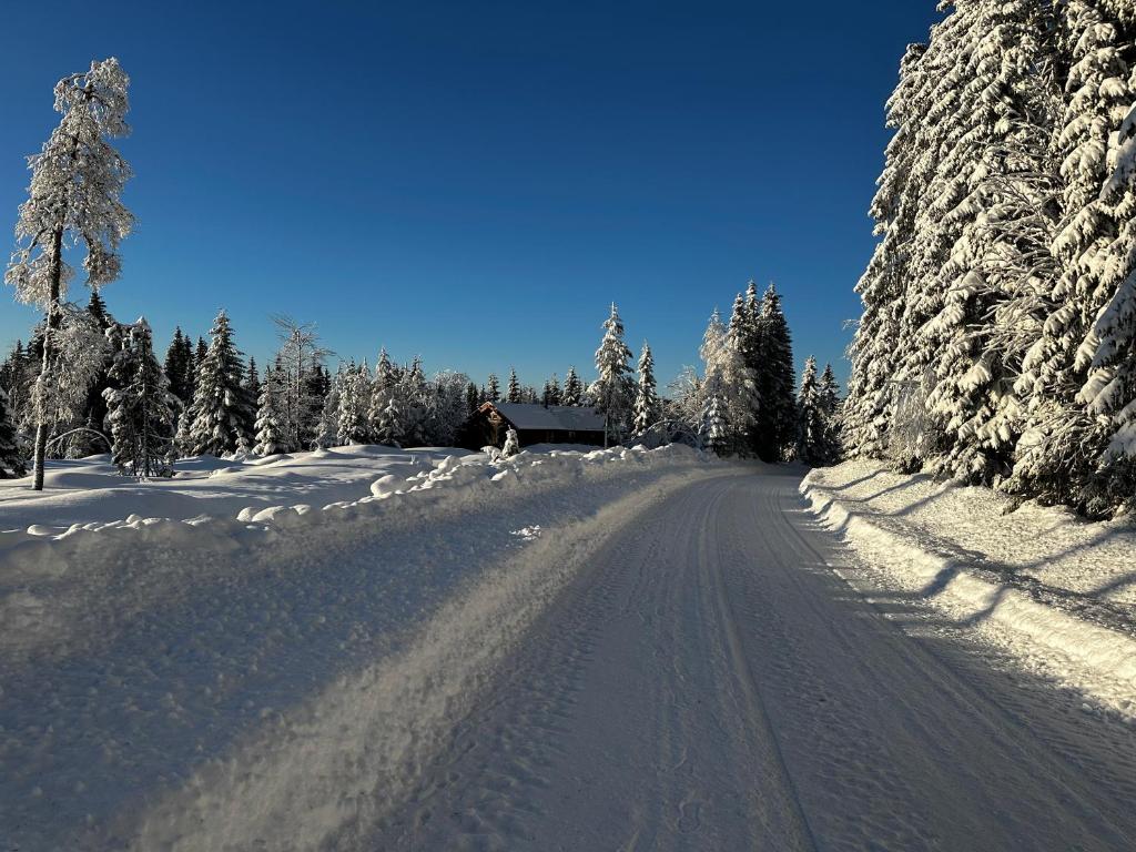 Søre Osen Ørbekken photo 4