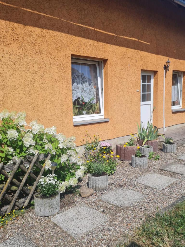 Ferienwohnung Warnitz photo 2