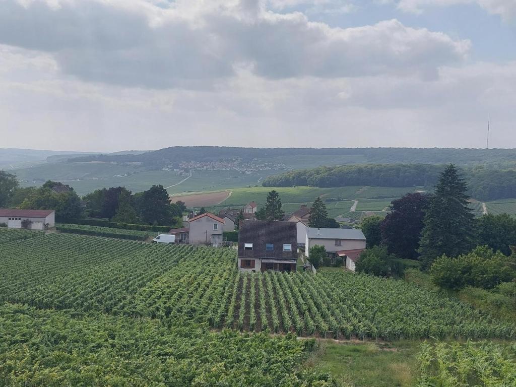 Maison au Coeur du Vignoble Champenois