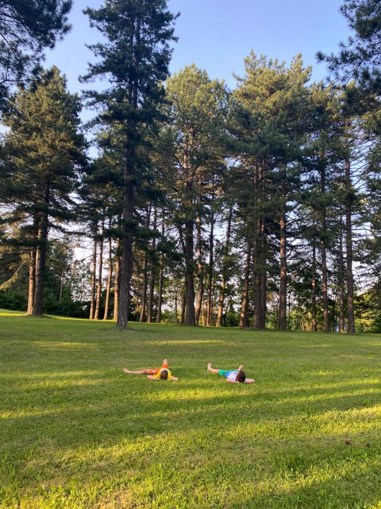 Brvnare Park Borova photo 1