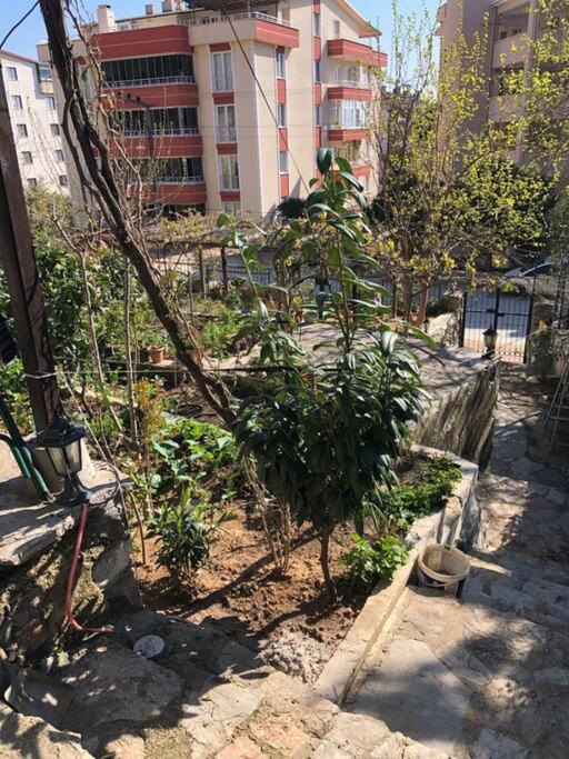 Yazlık bahçe katı daire photo 1