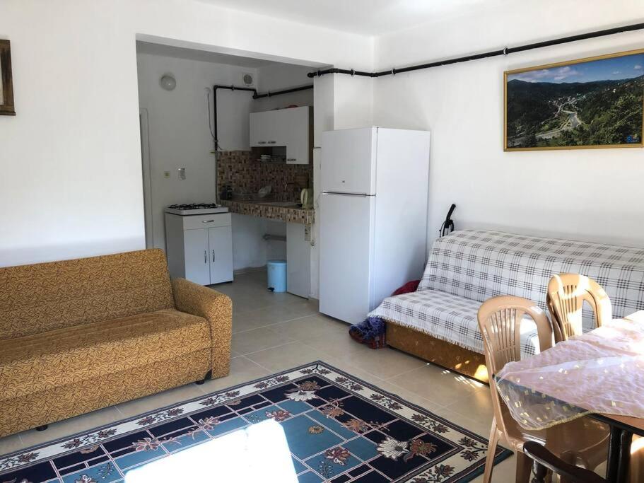 Yazlık bahçe katı daire photo 4