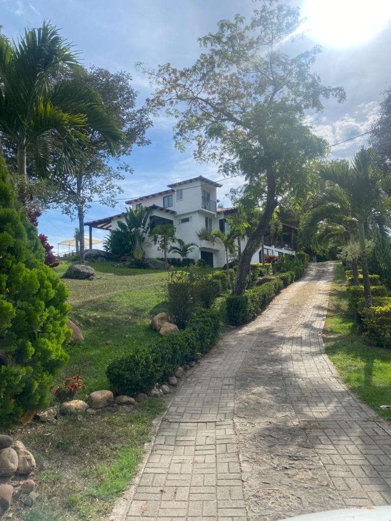 Finca San Pedro photo 3
