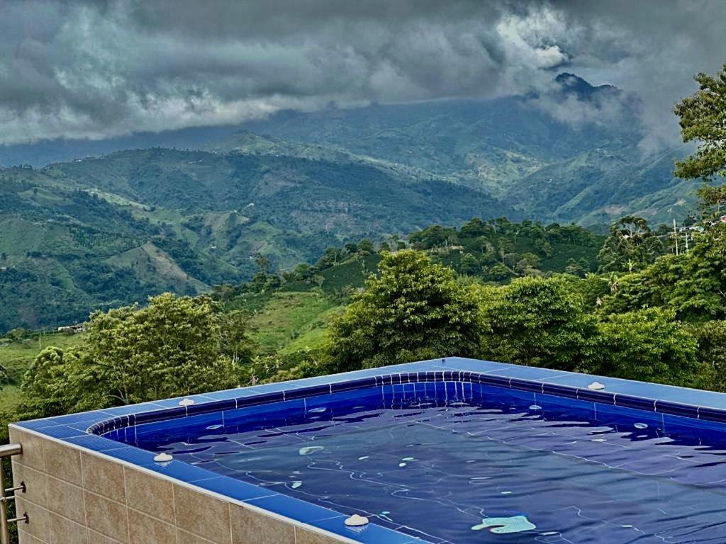 Finca cafetera Ecopalet photo 3