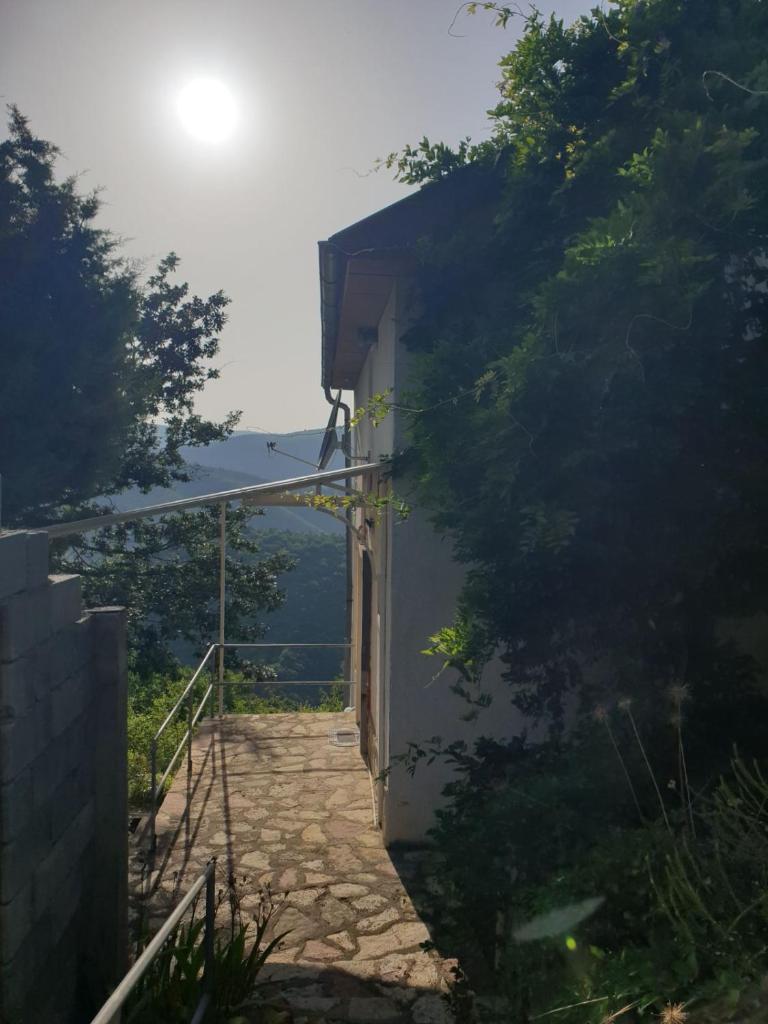 Vila Fantastico photo 3