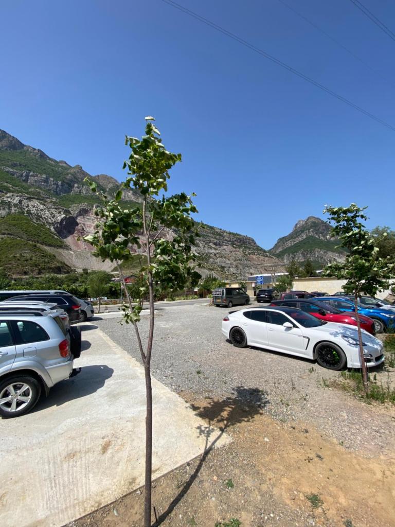 Kulla e Vjeter (Bar Restaurant, Guesthouse, Parking and Camping) photo 3