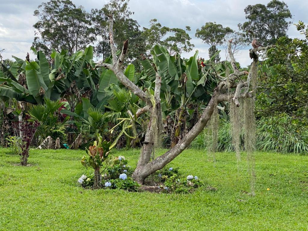 Mi Casita Campersite photo 4