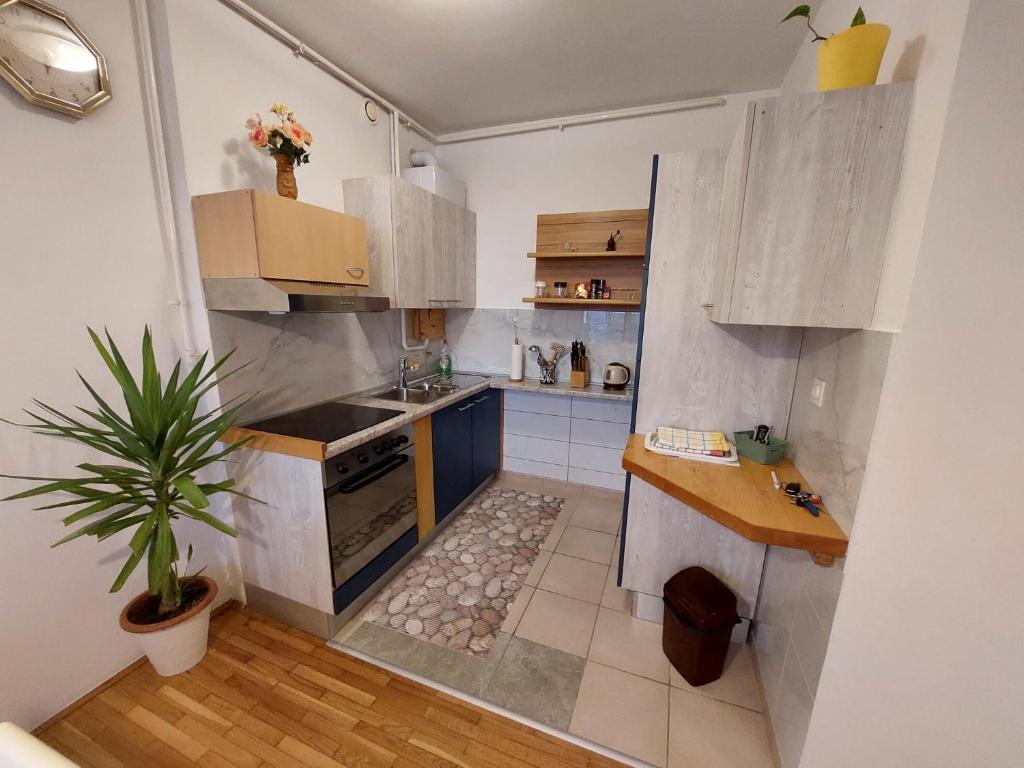 Apartman Buba photo 2