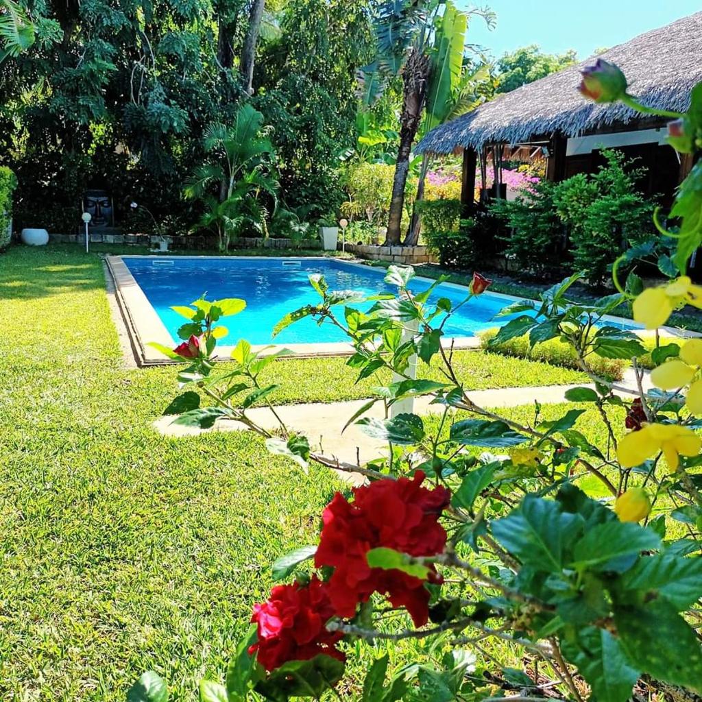 Résidence Baobab La Casa Di Lea
