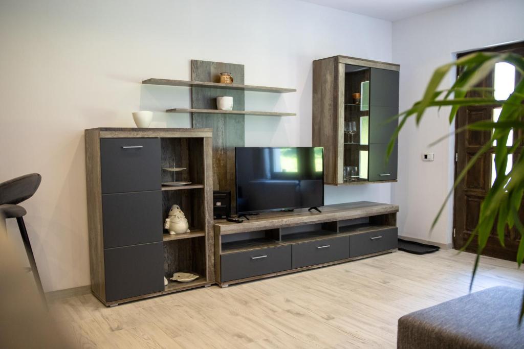 Apartmani Vukman photo 3