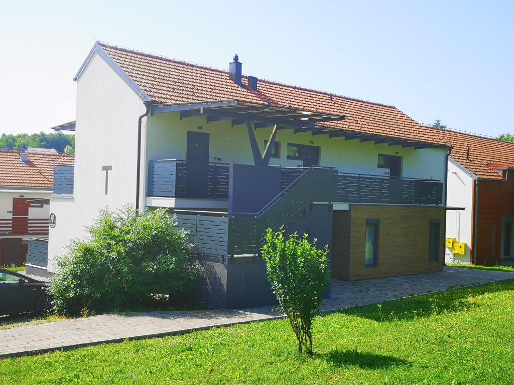 MARTINUS-V photo 1