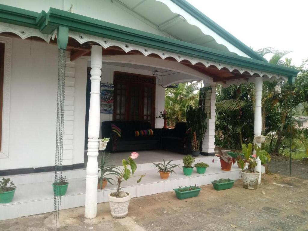 Mr.D mountain hotel photo 1