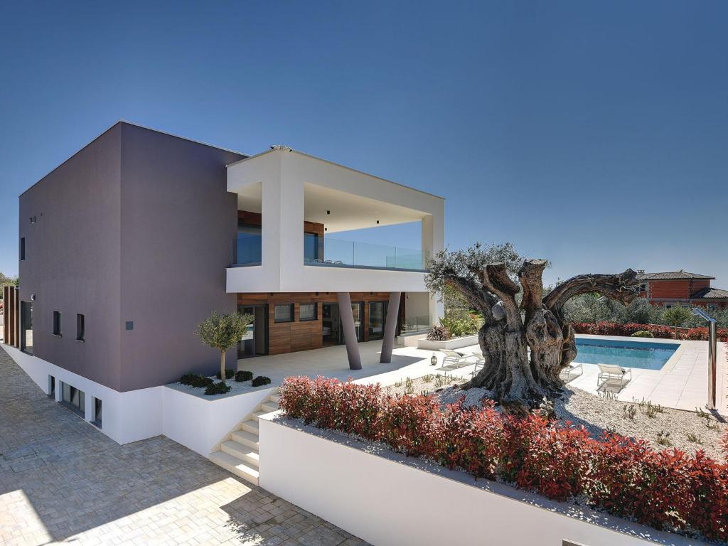Luxury Villa in Vodnjan with Swimming Pool photo 3