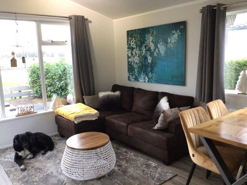 Comfort chalet with dishwasher on a holiday park directly at recreational lake photo 3