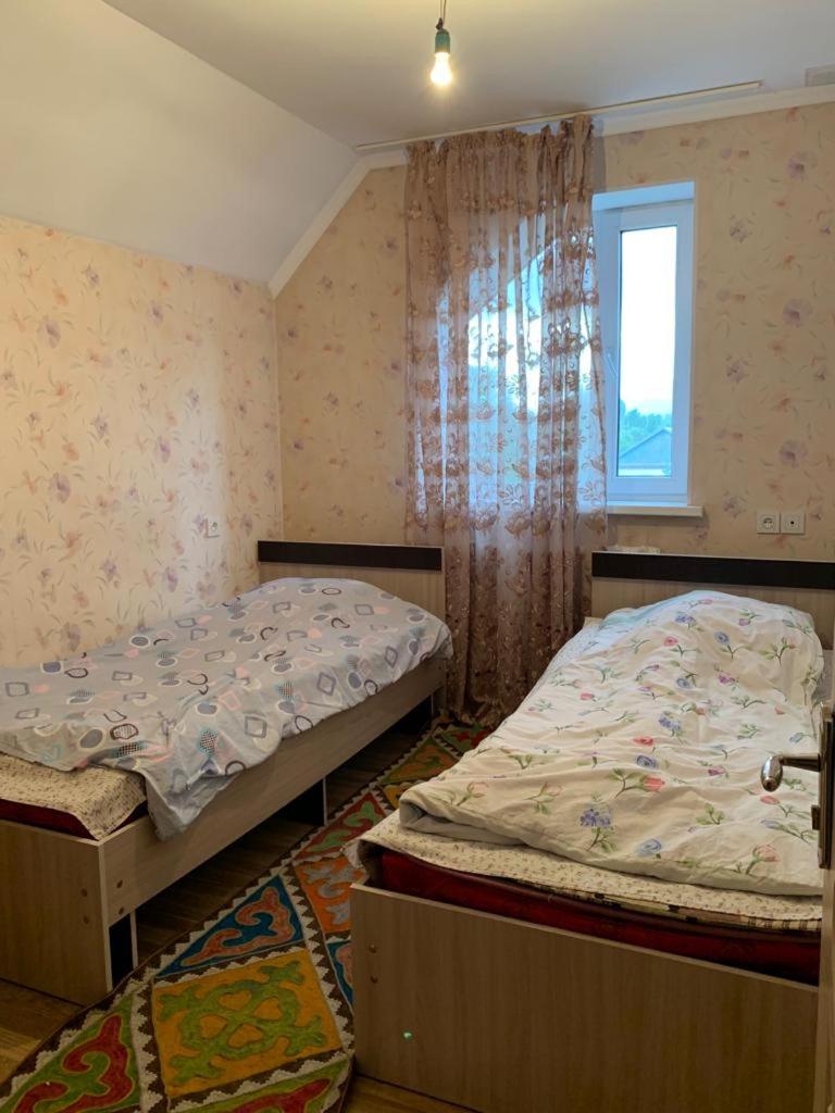 Чаек Хостел, CHAEK HOSTEL photo 3