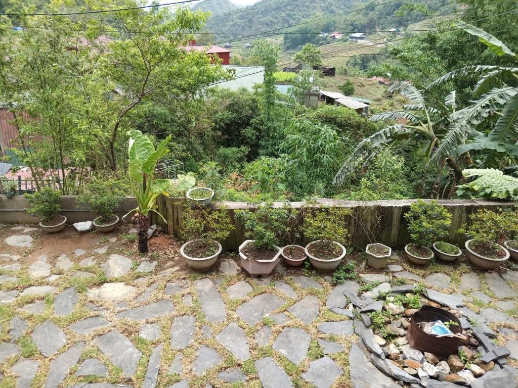 Eco Joville House - Sapa Homestay