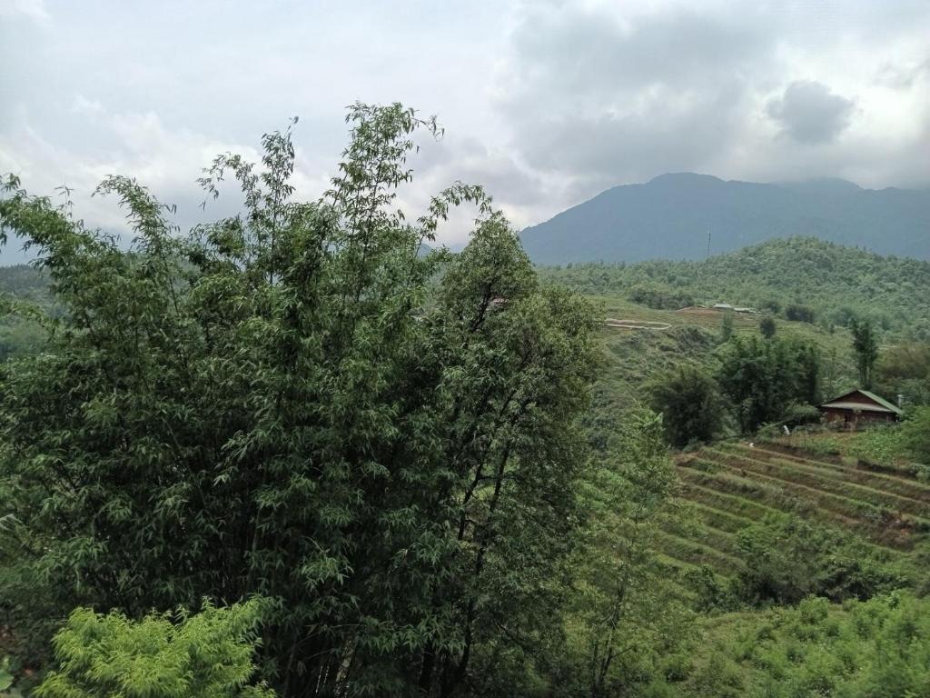 Eco Joville House - Sapa Homestay