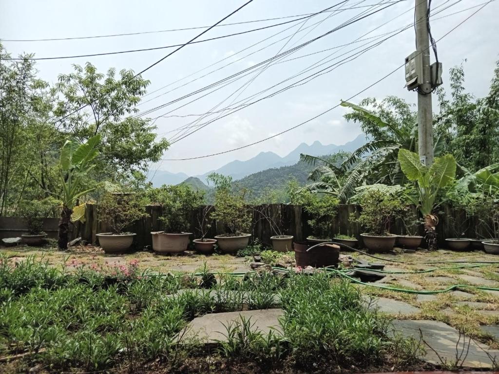 Eco Joville House - Sapa Homestay