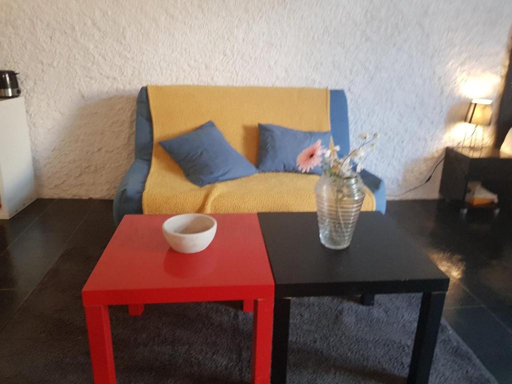 Studio RDC avec terrasse photo 4