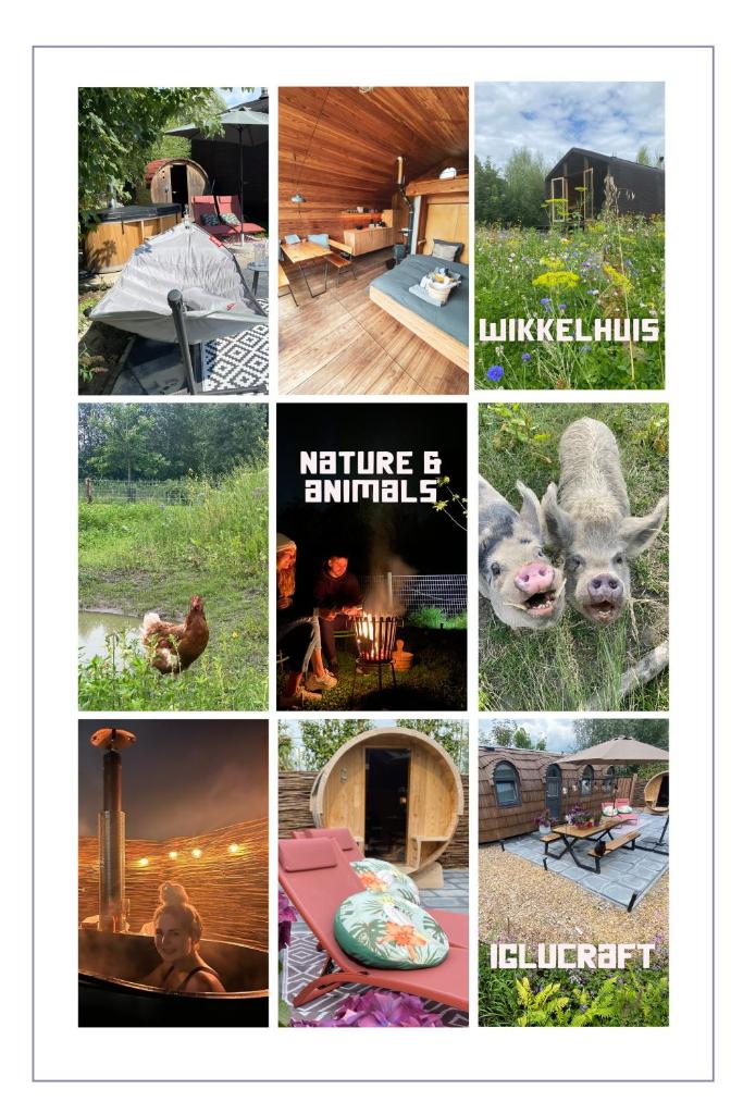 Bed & Wellness Klein Knorrestein with 2 romantic sustainable tiny house, use private hottub, sauna, tandembike included in price, just 30 minutes from Amsterdam photo 1