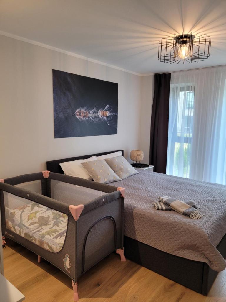 Divas Laivas apartments with a terrace photo 4
