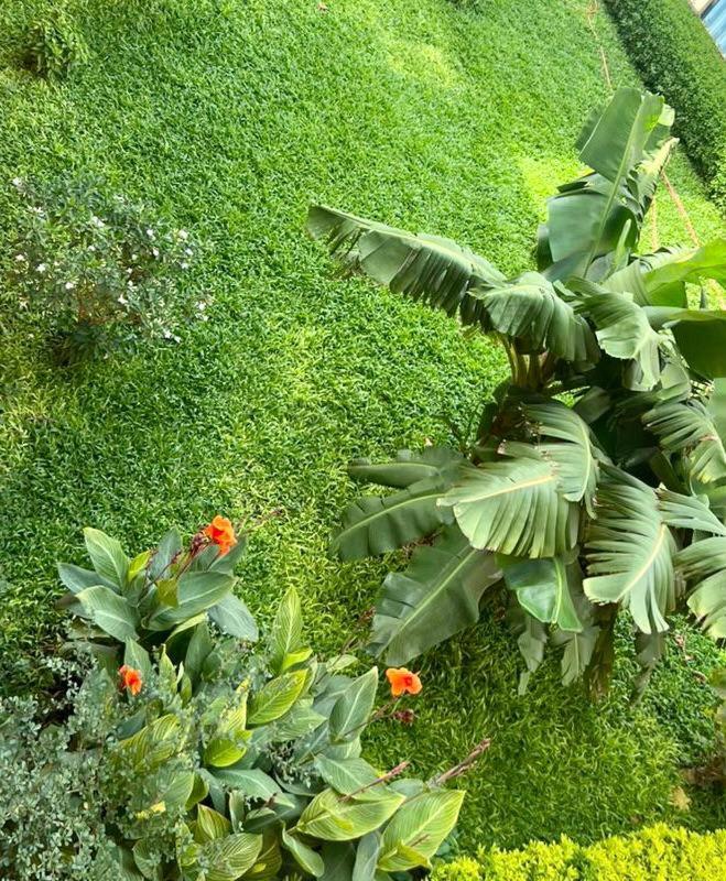Le Lézard Vert, Maison d'Affair à Niamey photo 4