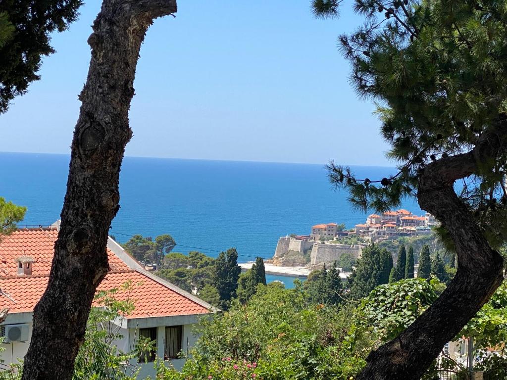 Entire Private Apartment in Ulcinj photo 2