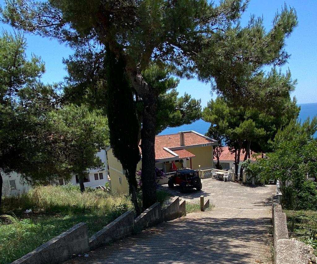 Entire Private Apartment in Ulcinj photo 3