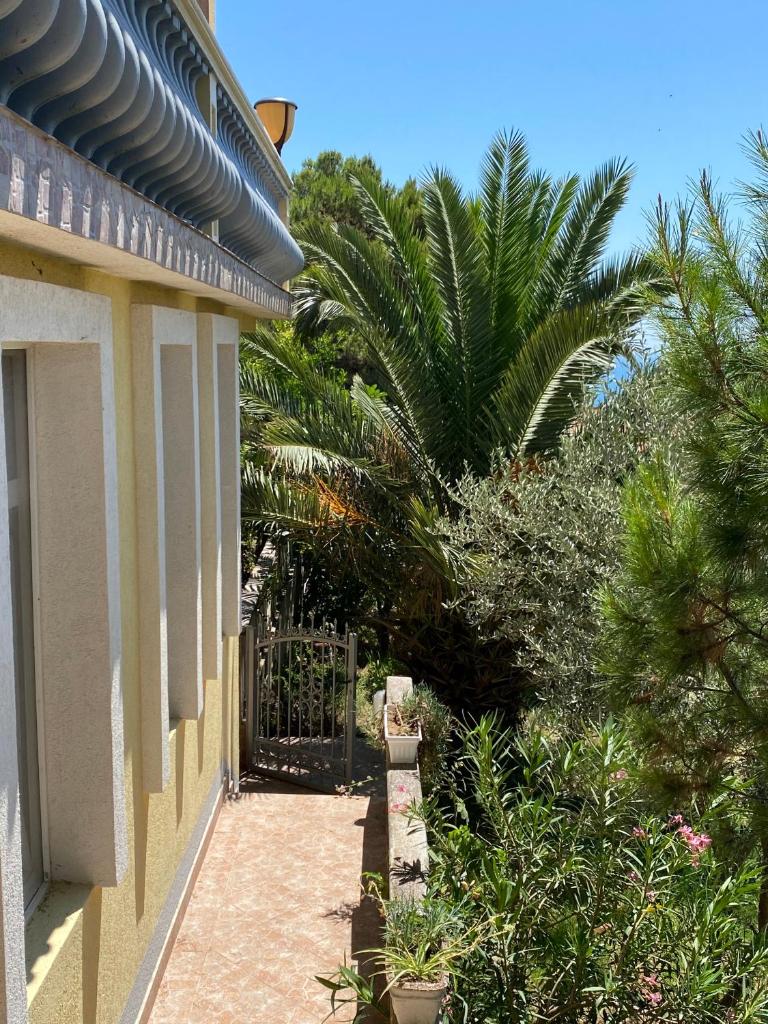 Entire Private Apartment in Ulcinj photo 4