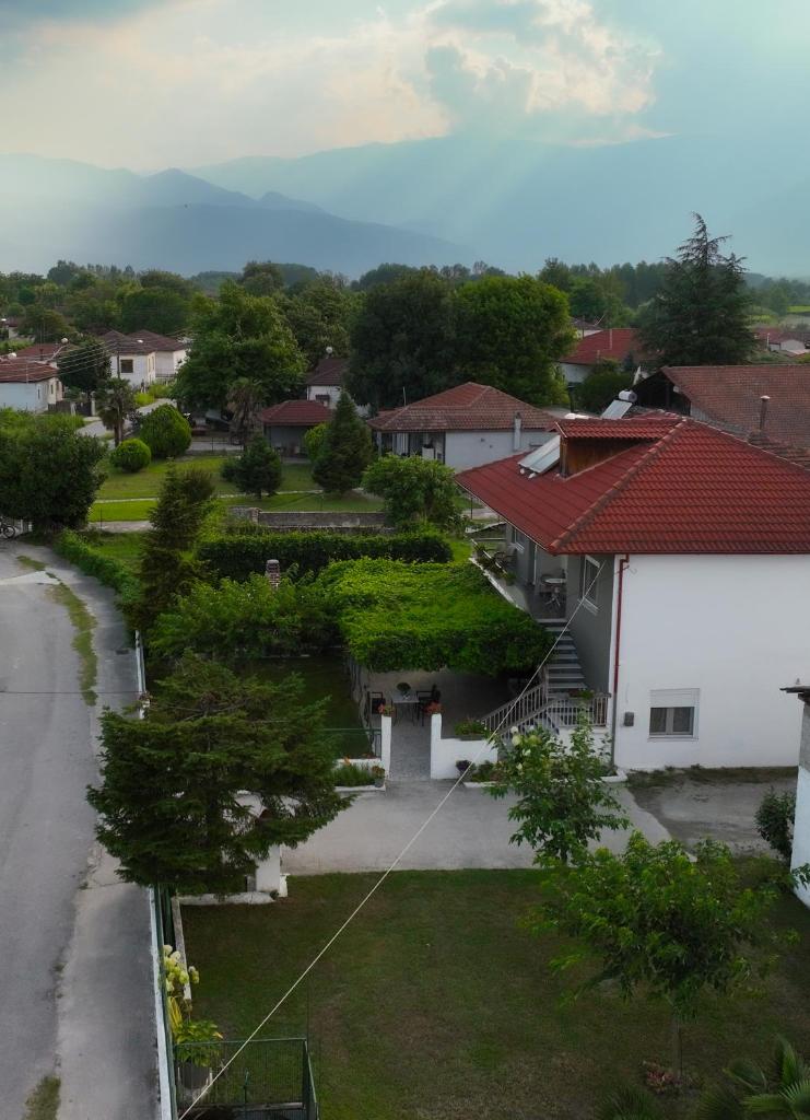 Xrysa's House photo 2