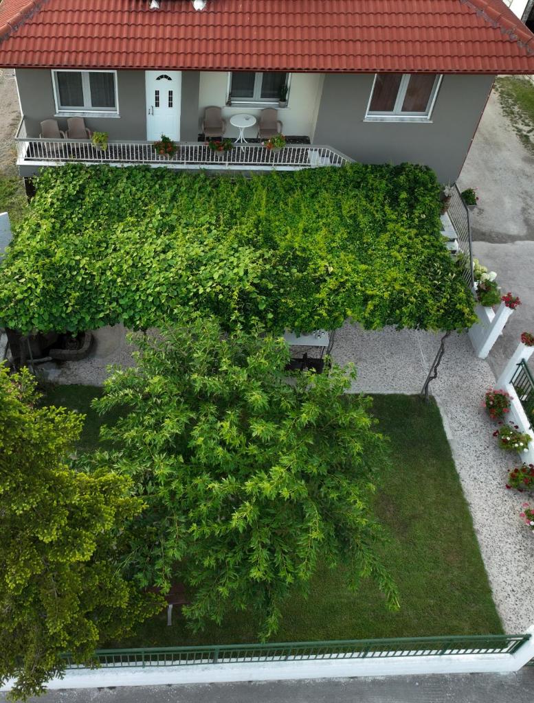 Xrysa's House photo 4
