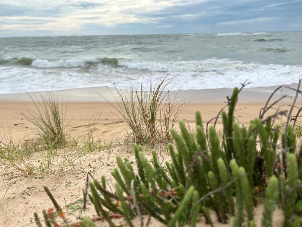 Location du Klan des K : villa 4 étoiles 150m plage photo 3