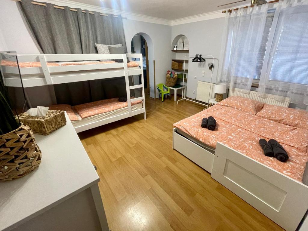 Ubytování U Mikeša photo 3