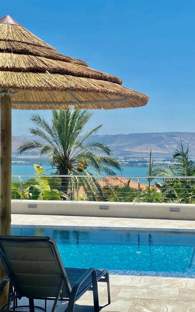 Kinneret View