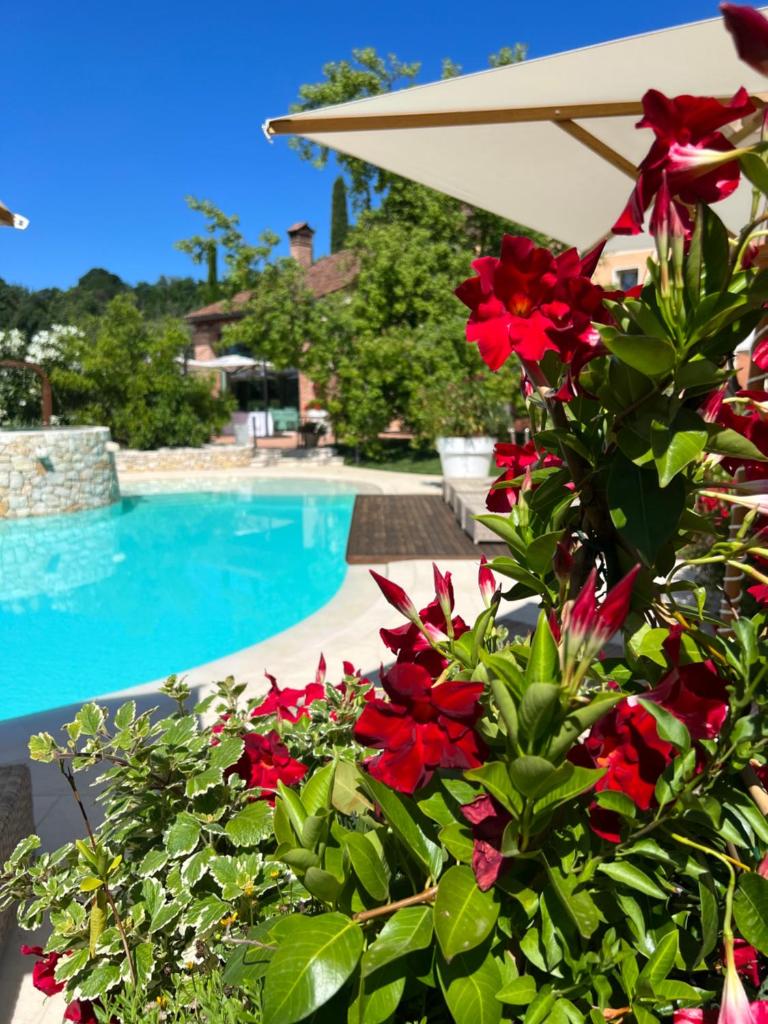 Borghetto San Biagio Relais Agriturismo photo 3