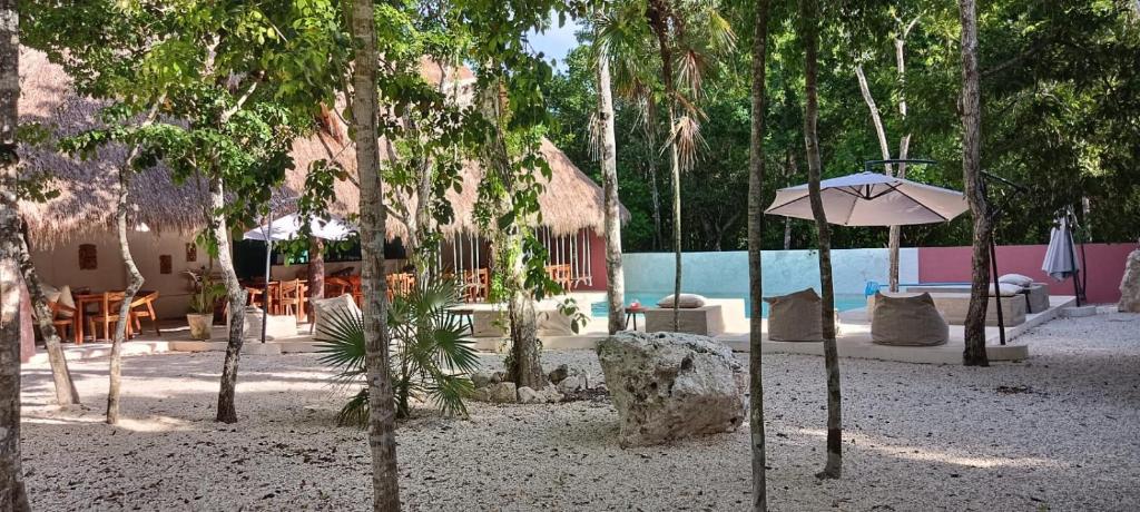 Magic Xcacel Tulum photo 2