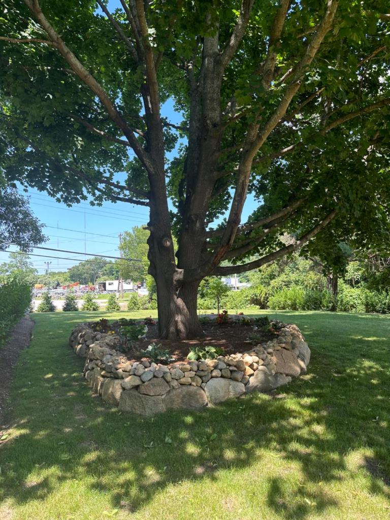 Centrally Located Orleans Home photo 2