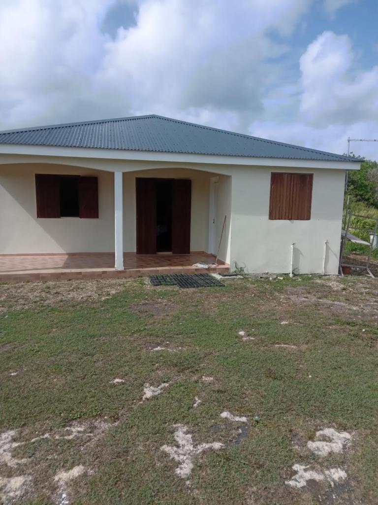 Maison zebre photo 2