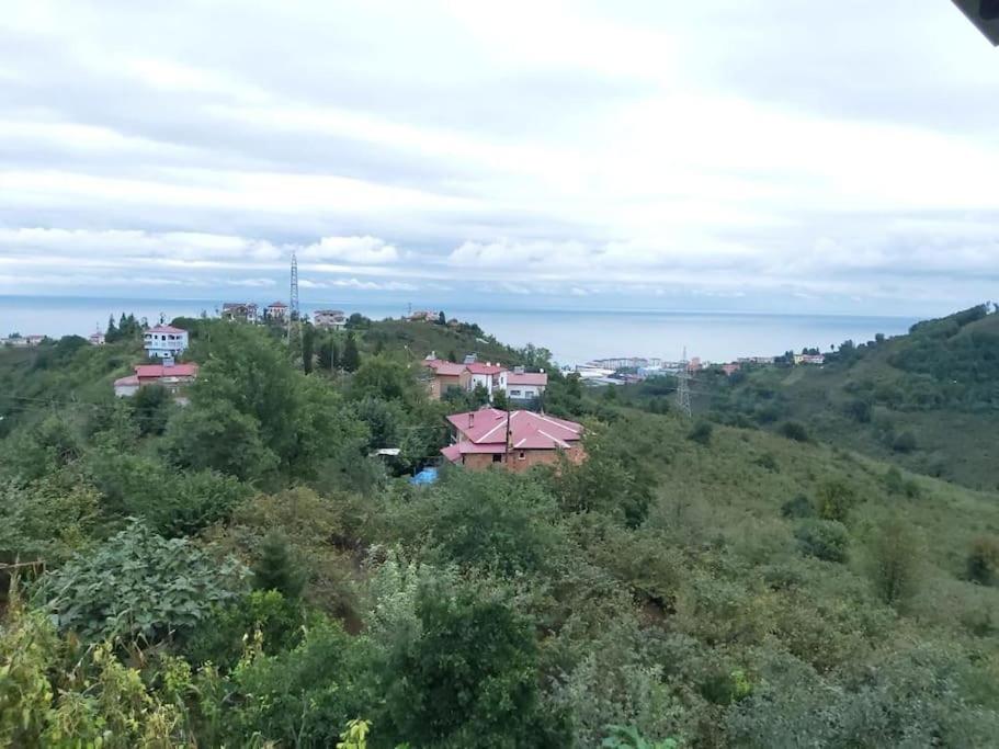 Sakin Köy Evi Kaçamağı photo 3